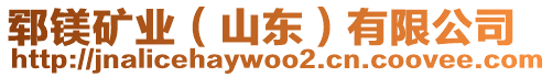 鄆鎂礦業(yè)（山東）有限公司