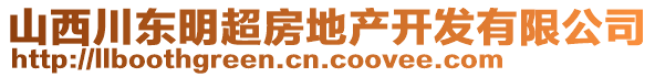 山西川東明超房地產(chǎn)開發(fā)有限公司