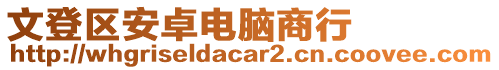 文登區(qū)安卓電腦商行