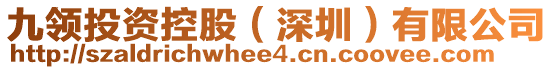 九領(lǐng)投資控股（深圳）有限公司