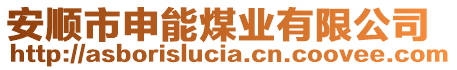 安順市申能煤業(yè)有限公司