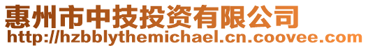 惠州市中技投資有限公司