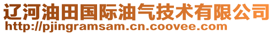 辽河油田国际油气技术有限公司