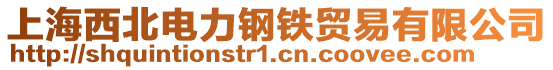 上海西北电力钢铁贸易有限公司