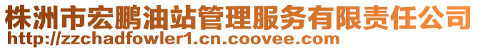 株洲市宏鵬油站管理服務(wù)有限責(zé)任公司