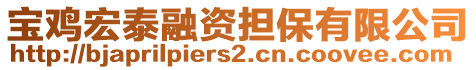 寶雞宏泰融資擔(dān)保有限公司