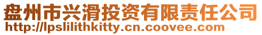 盤州市興滑投資有限責(zé)任公司