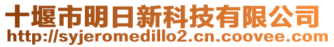 十堰市明日新科技有限公司