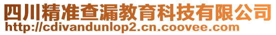 四川精準(zhǔn)查漏教育科技有限公司