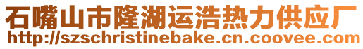 石嘴山市隆湖運(yùn)浩熱力供應(yīng)廠