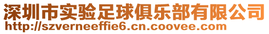 深圳市实验足球俱乐部有限公司