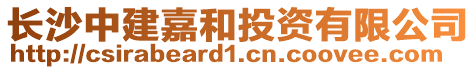 長沙中建嘉和投資有限公司