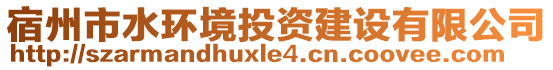 宿州市水環(huán)境投資建設(shè)有限公司