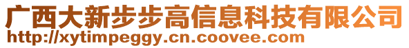 廣西大新步步高信息科技有限公司