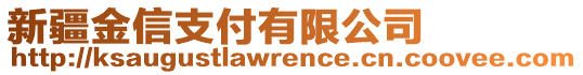 新疆金信支付有限公司