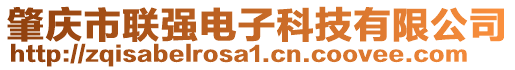 肇慶市聯(lián)強(qiáng)電子科技有限公司