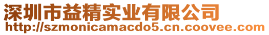 深圳市益精實業(yè)有限公司