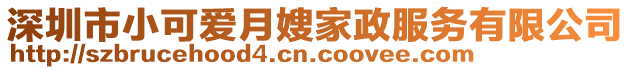 深圳市小可愛月嫂家政服務有限公司