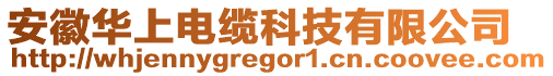 安徽華上電纜科技有限公司