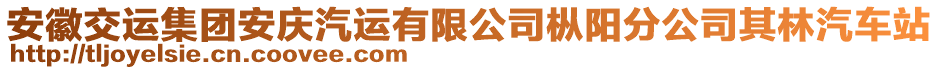 安徽交運集團安慶汽運有限公司樅陽分公司其林汽車站