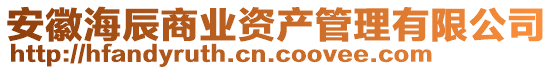 安徽海辰商業(yè)資產(chǎn)管理有限公司