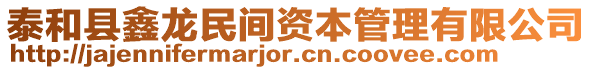 泰和縣鑫龍民間資本管理有限公司