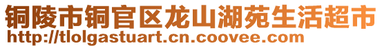 銅陵市銅官區(qū)龍山湖苑生活超市