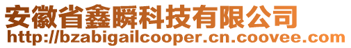 安徽省鑫瞬科技有限公司