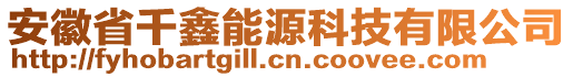 安徽省千鑫能源科技有限公司