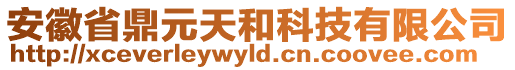 安徽省鼎元天和科技有限公司