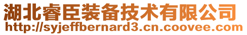 湖北睿臣裝備技術(shù)有限公司