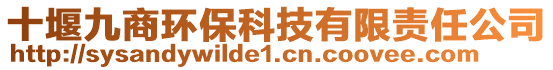 十堰九商環(huán)?？萍加邢挢?zé)任公司