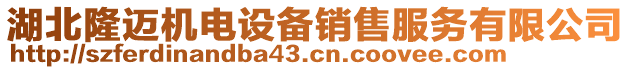 湖北隆邁機(jī)電設(shè)備銷售服務(wù)有限公司