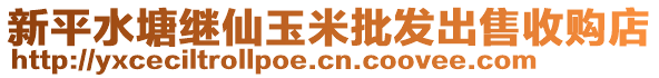 新平水塘繼仙玉米批發(fā)出售收購店