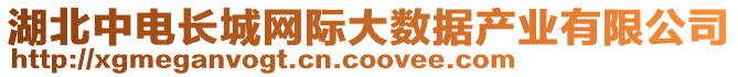 湖北中電長城網(wǎng)際大數(shù)據(jù)產(chǎn)業(yè)有限公司