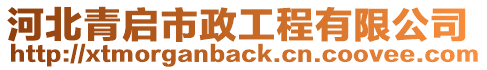 河北青啟市政工程有限公司