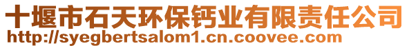 十堰市石天環(huán)保鈣業(yè)有限責(zé)任公司