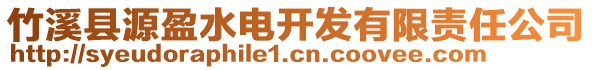 竹溪縣源盈水電開發(fā)有限責(zé)任公司