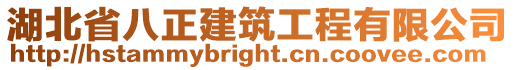 湖北省八正建筑工程有限公司