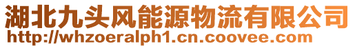 湖北九頭風(fēng)能源物流有限公司