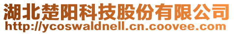 湖北楚陽科技股份有限公司