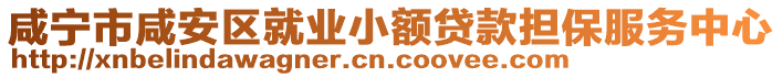 咸宁市咸安区就业小额贷款担保服务中心