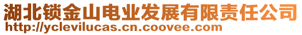 湖北鎖金山電業(yè)發(fā)展有限責任公司