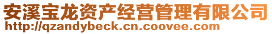 安溪寶龍資產(chǎn)經(jīng)營管理有限公司