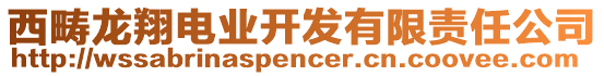 西疇龍翔電業(yè)開發(fā)有限責任公司