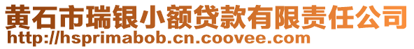 黃石市瑞銀小額貸款有限責任公司