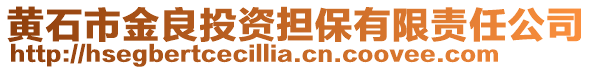 黄石市金良投资担保有限责任公司