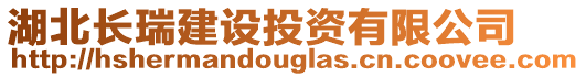 湖北長瑞建設投資有限公司