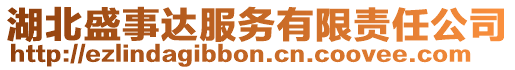 湖北盛事達服務有限責任公司