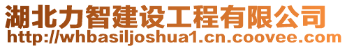 湖北力智建設(shè)工程有限公司